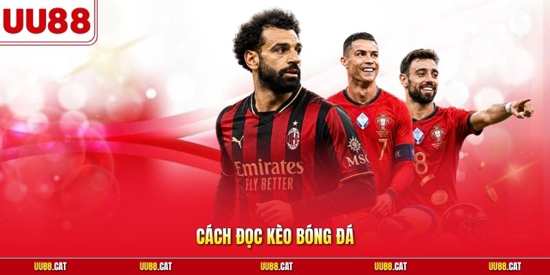 Cách đọc kèo bóng đá