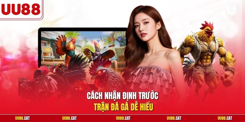 Cách nhận định trước trận đá gà dễ hiểu