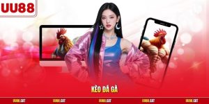 Kèo đá gà