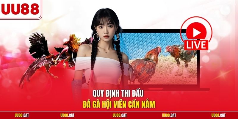 Quy định thi đấu đá gà hội viên cần nắm