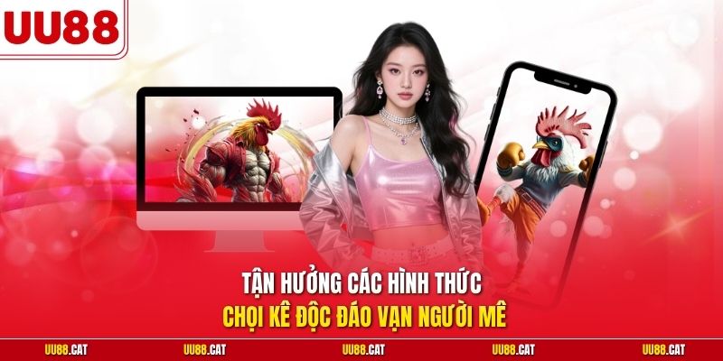 Tận hưởng các hình thức đá gà uu88 độc đáo vạn người mê