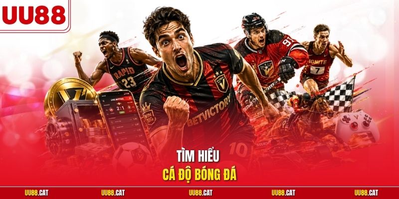 Tìm hiểu cá độ bóng đá